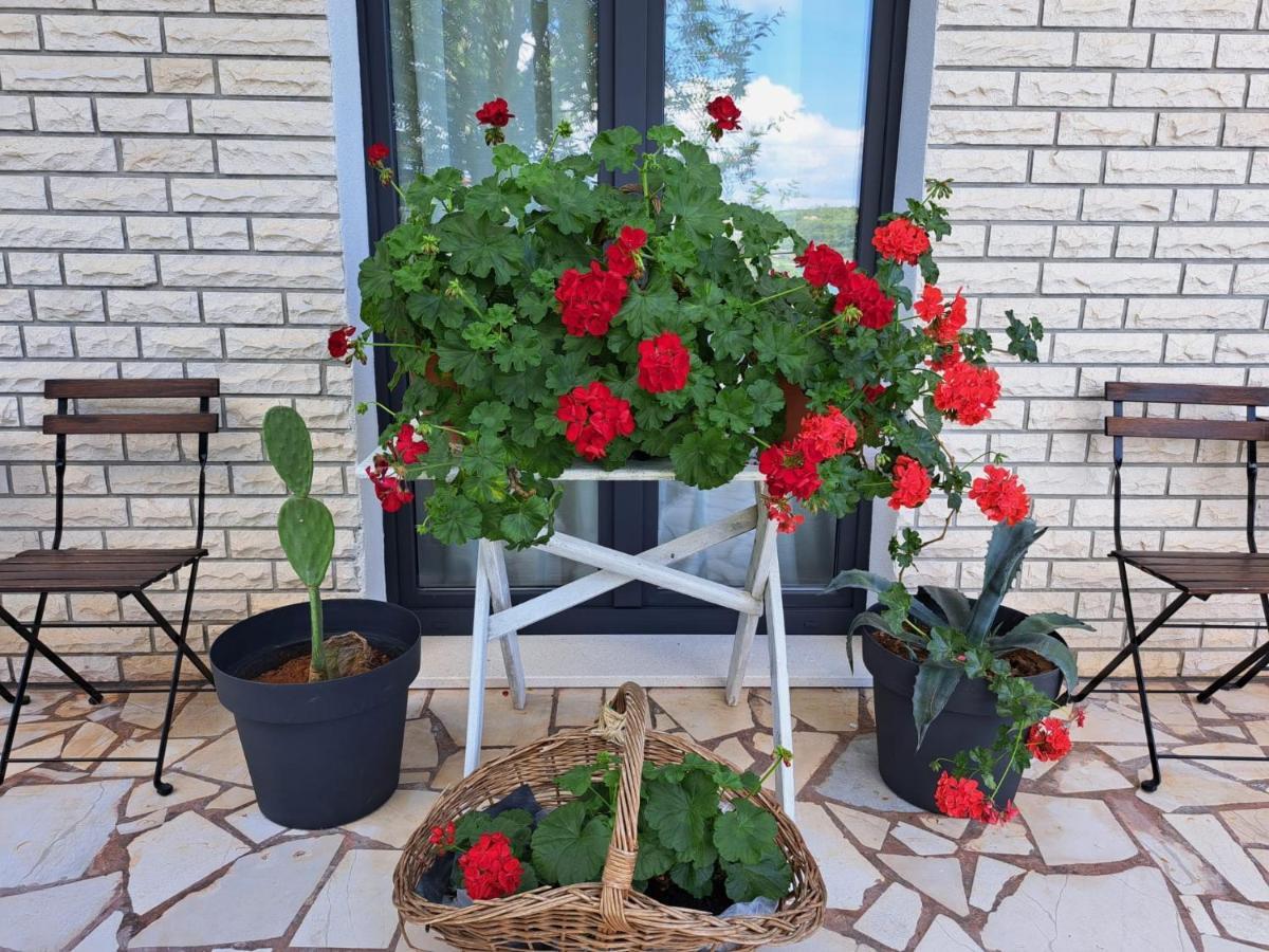 Guesthouse Tamara Ловиште Экстерьер фото