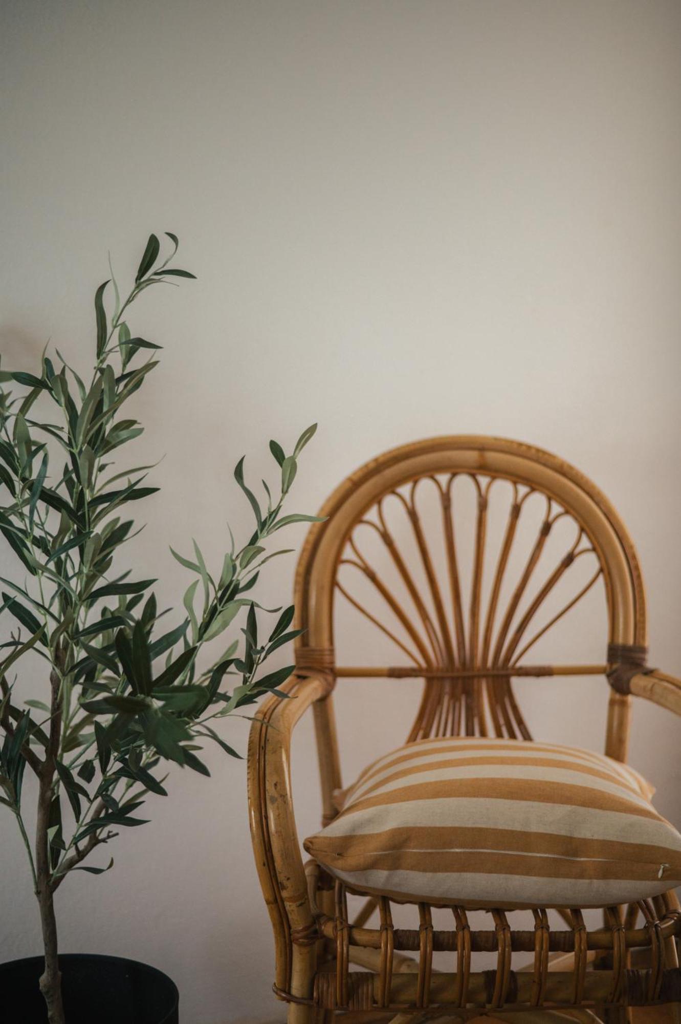 Guesthouse Tamara Ловиште Экстерьер фото